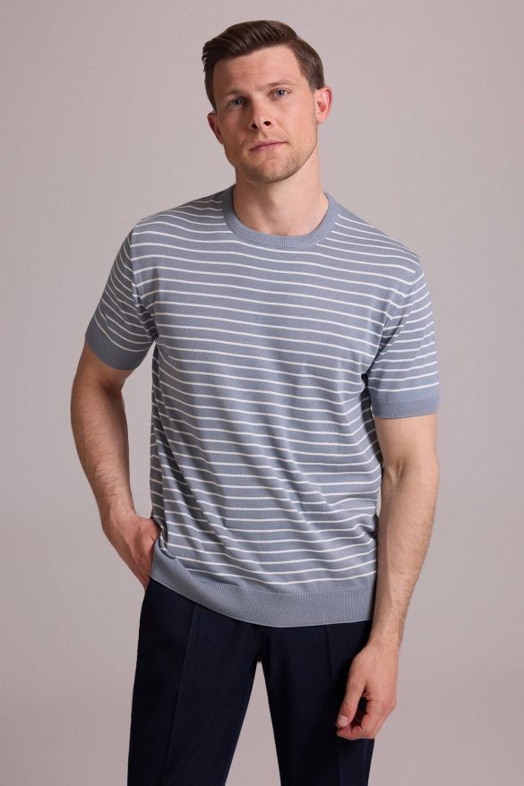 erkek-mavi-regular-fit-bisiklet-yaka-cizgili-tisort-bisiklet-yaka-t-shirt-ysf-56814-43-B yazlık erkek giyim